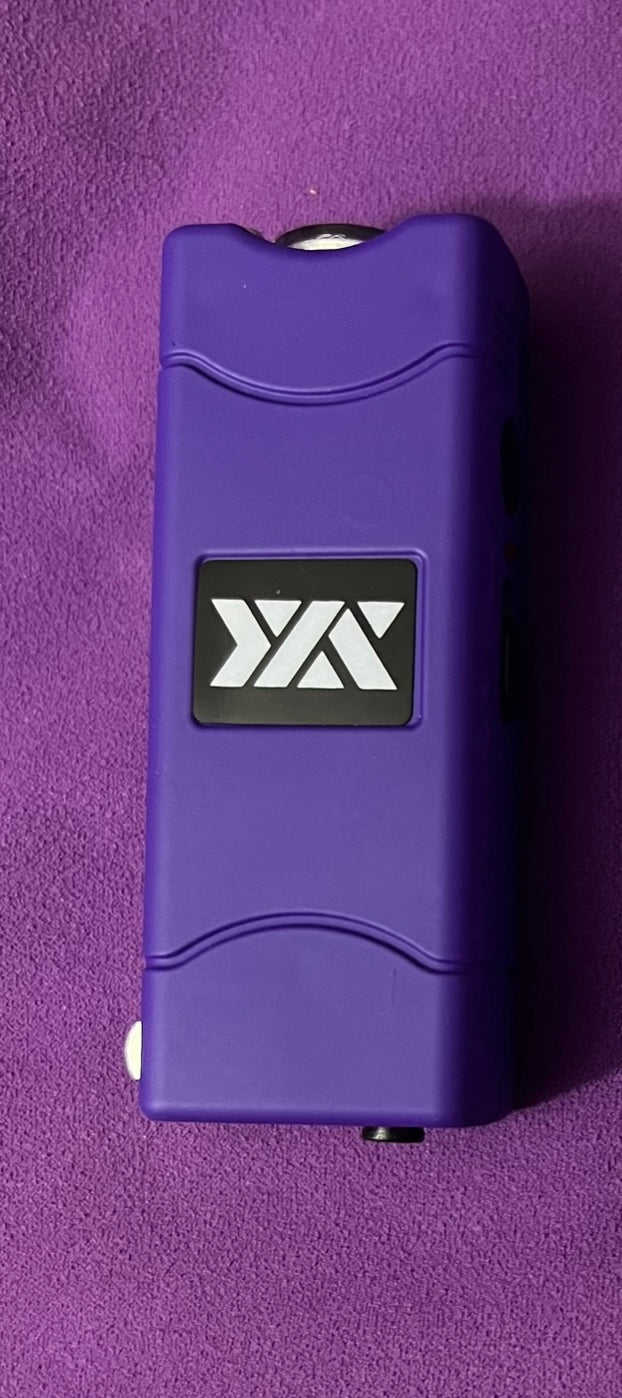 Mini Stun Gun